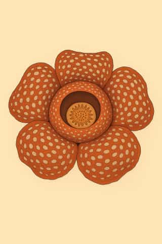 rafflesia